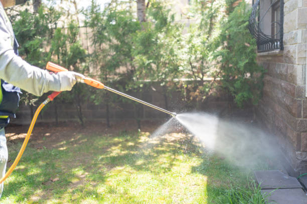 Pest Control for Warehouses in Woodsville, NH